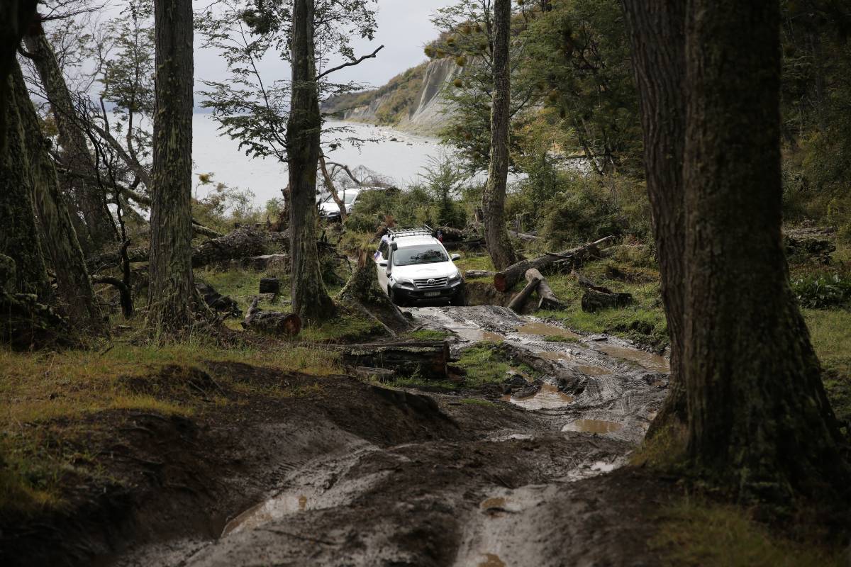 Excursion Lagos 4x4 Off-Road (USHUAIA) - Imagen 10