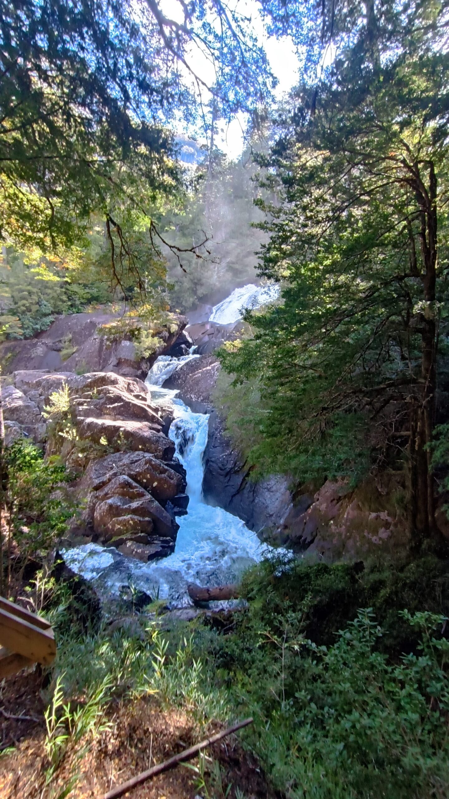 Puerto Blest y Cascada de los Cántaros - Imagen 5