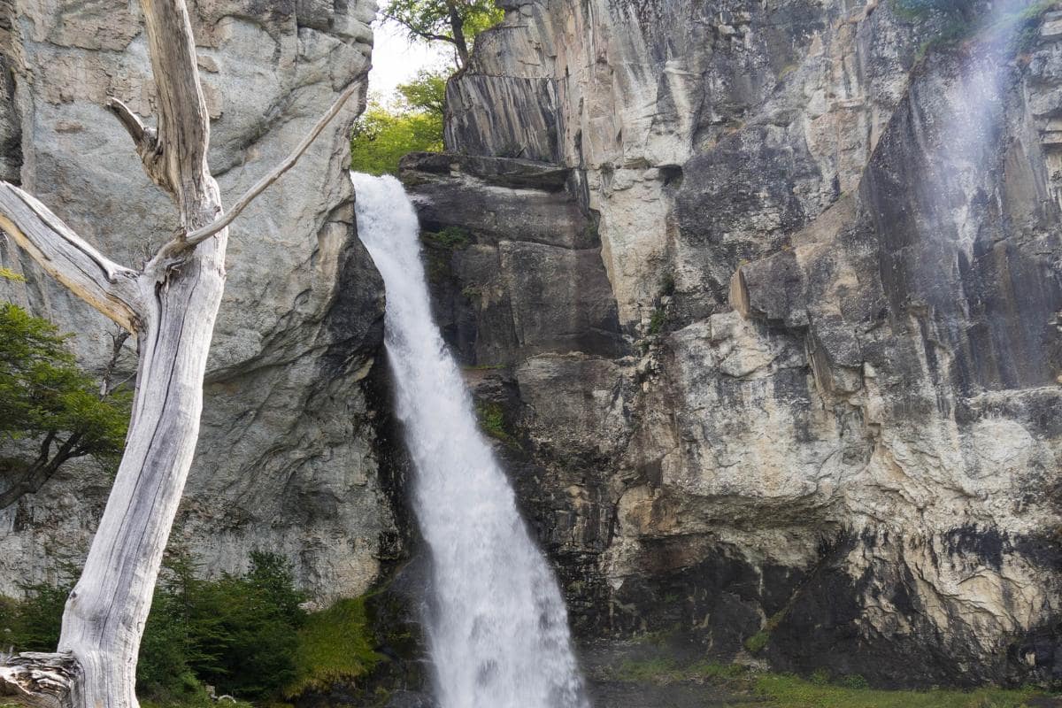 Día completo en el Chaltén hasta Chorrillos del Salto. - Imagen 8