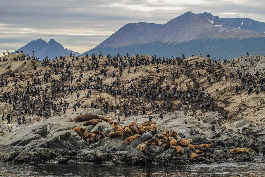 Excursion Ushuaia en 3 Días. - Imagen 8