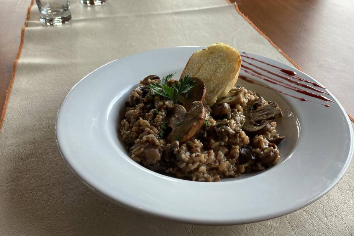 Excursion El Calafate, Paisajes y Sabores. - Imagen 7