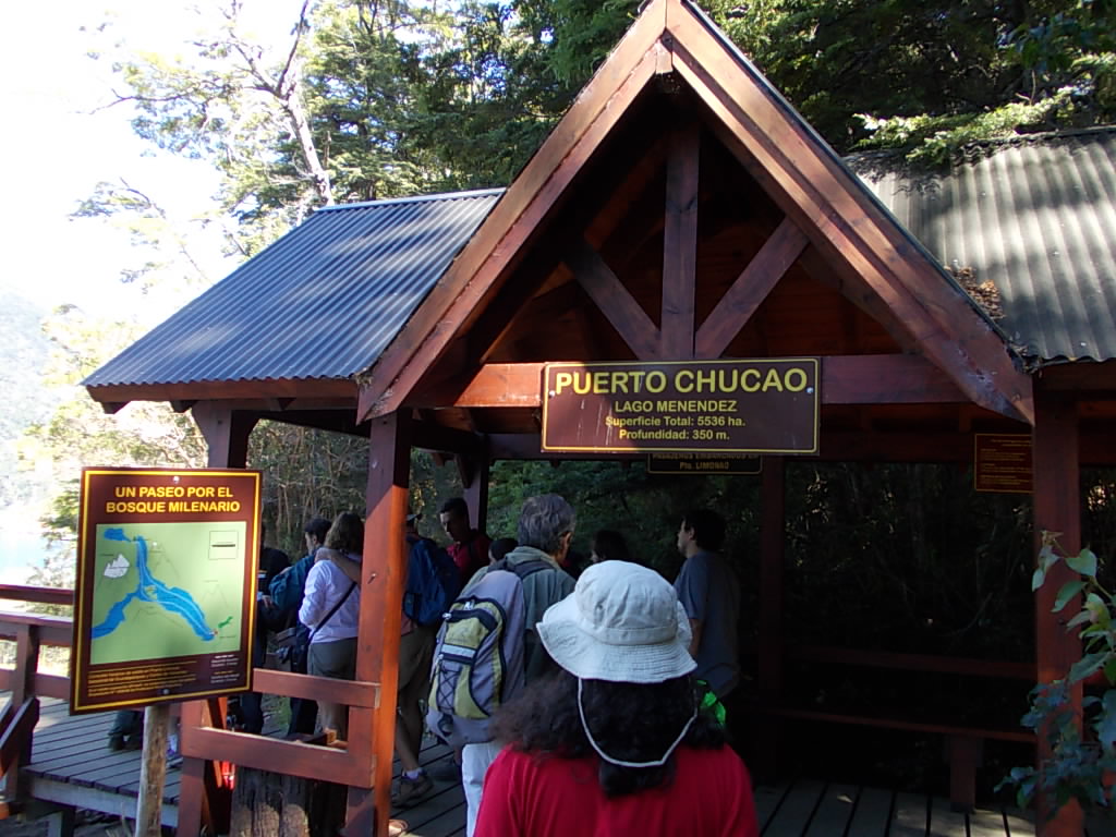 Excursion al Parque Nacional Los Alerces. Full Day - Imagen 10