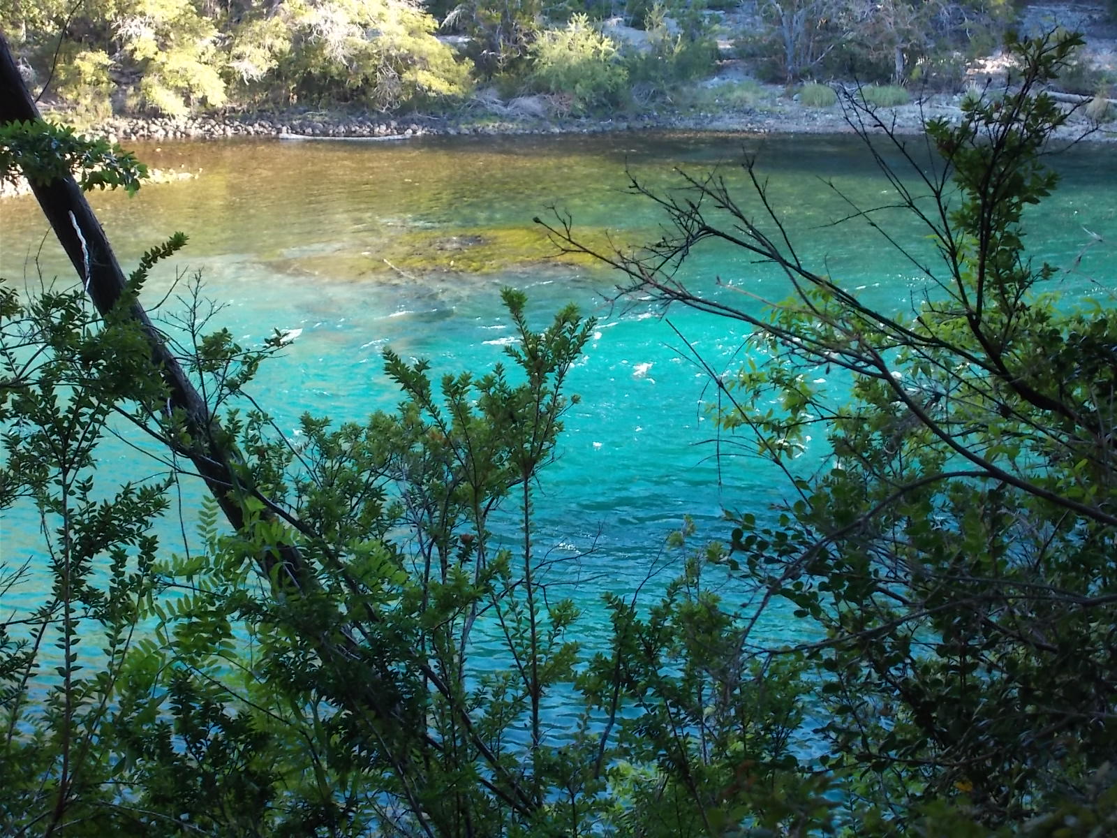 Excursion al Parque Nacional Los Alerces. Full Day - Imagen 12