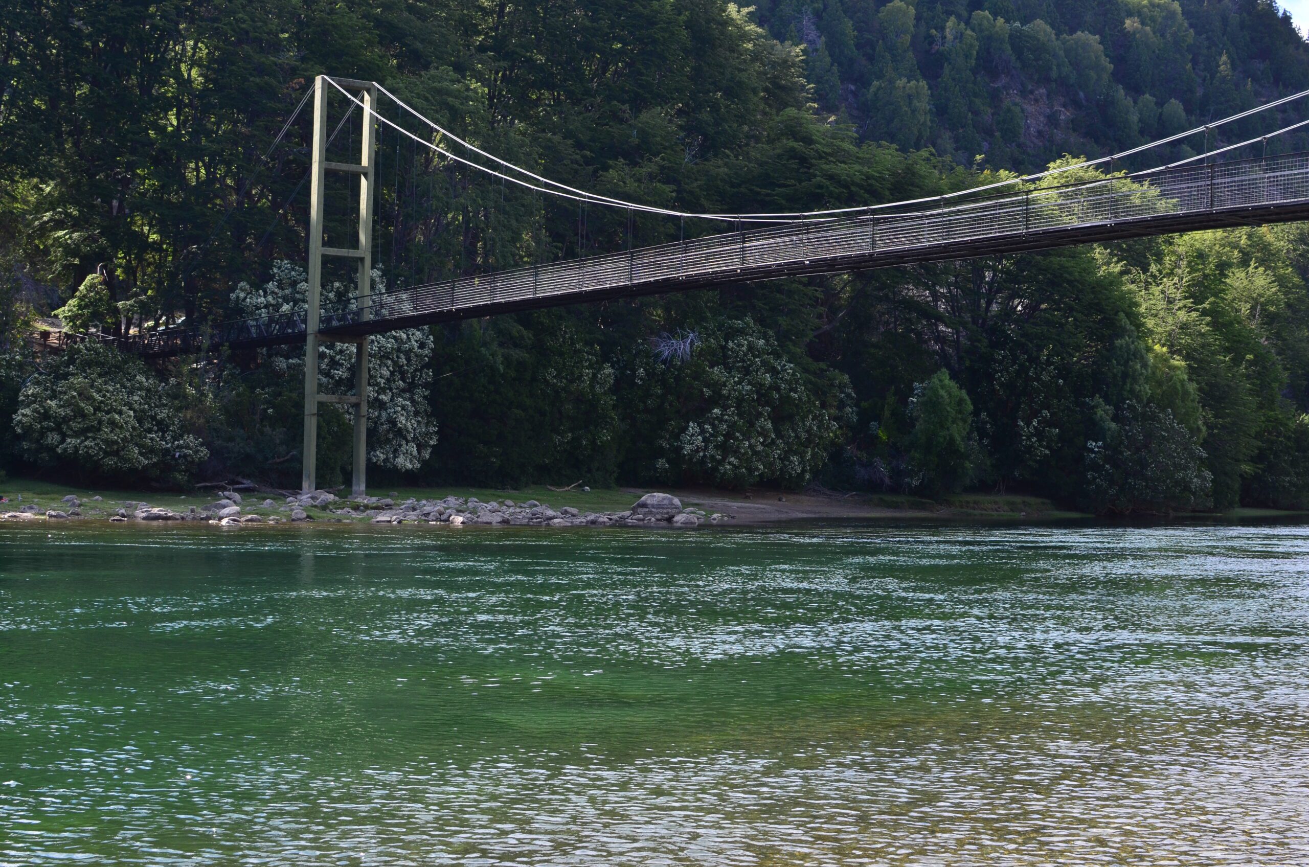 Excursion al Parque Nacional Los Alerces. Full Day - Imagen 5