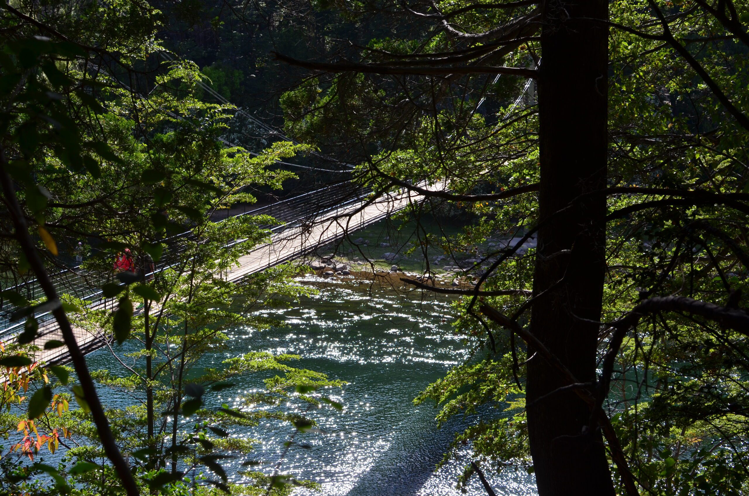 Excursion al Parque Nacional Los Alerces. Full Day - Imagen 6