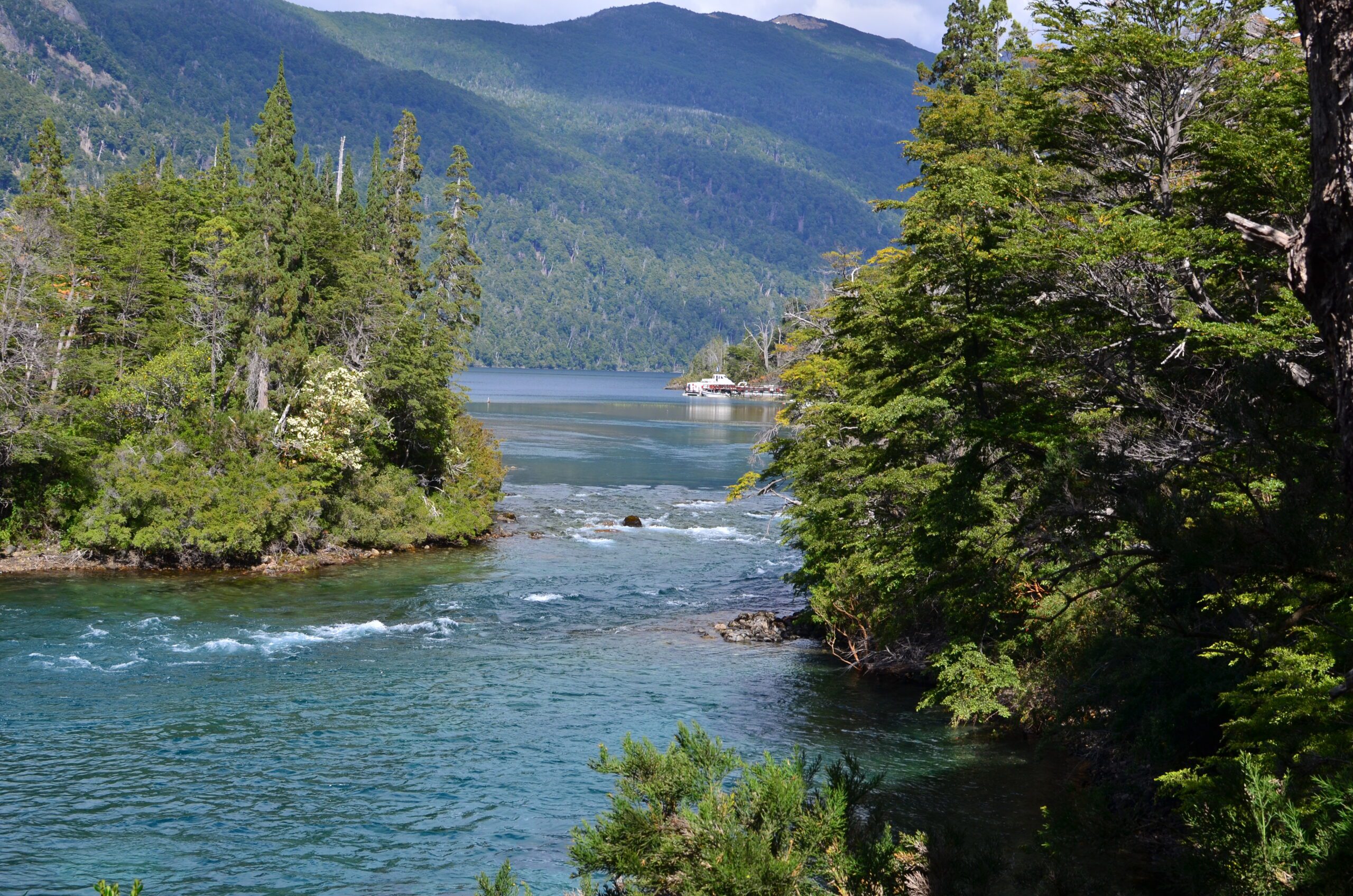 Excursion al Parque Nacional Los Alerces. Full Day - Imagen 7