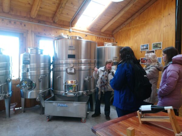 Excursion a Trevelin Full Day. - Imagen 4