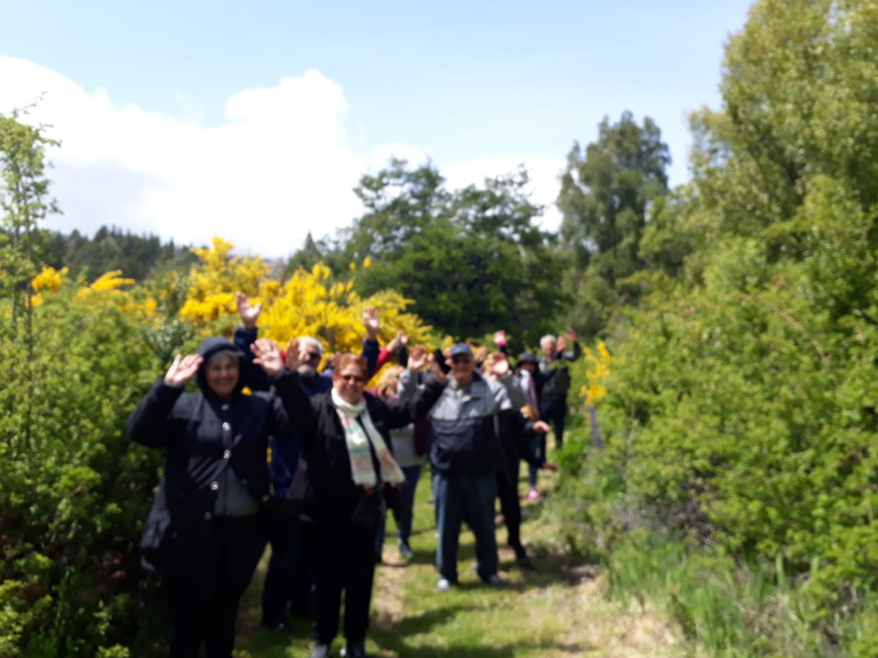 Excursion a Trevelin Full Day. - Imagen 6