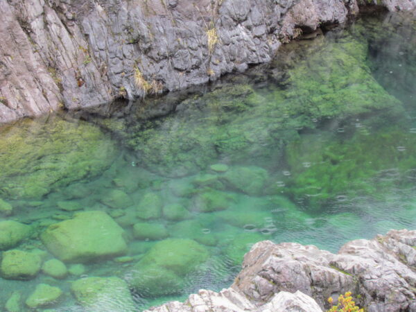 Excursion al Portada Sur del PN Los Alerces con Represa Futaleufu - Imagen 9