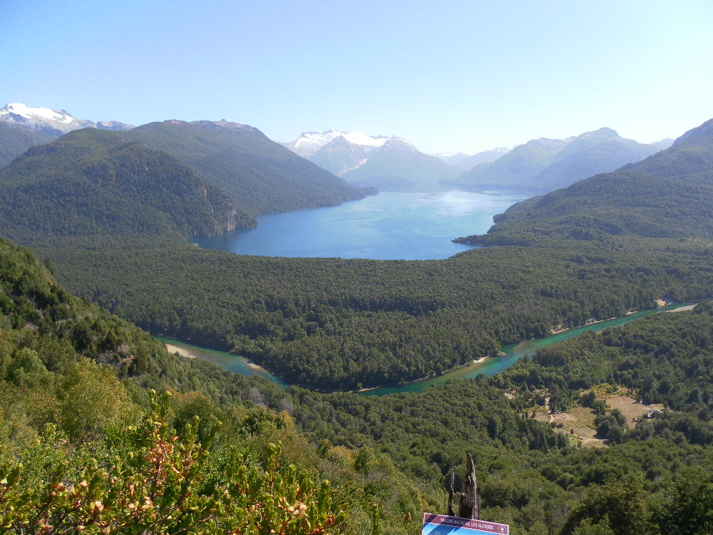 Excursion al Parque Nacional Los Alerces. Full Day - Imagen 15