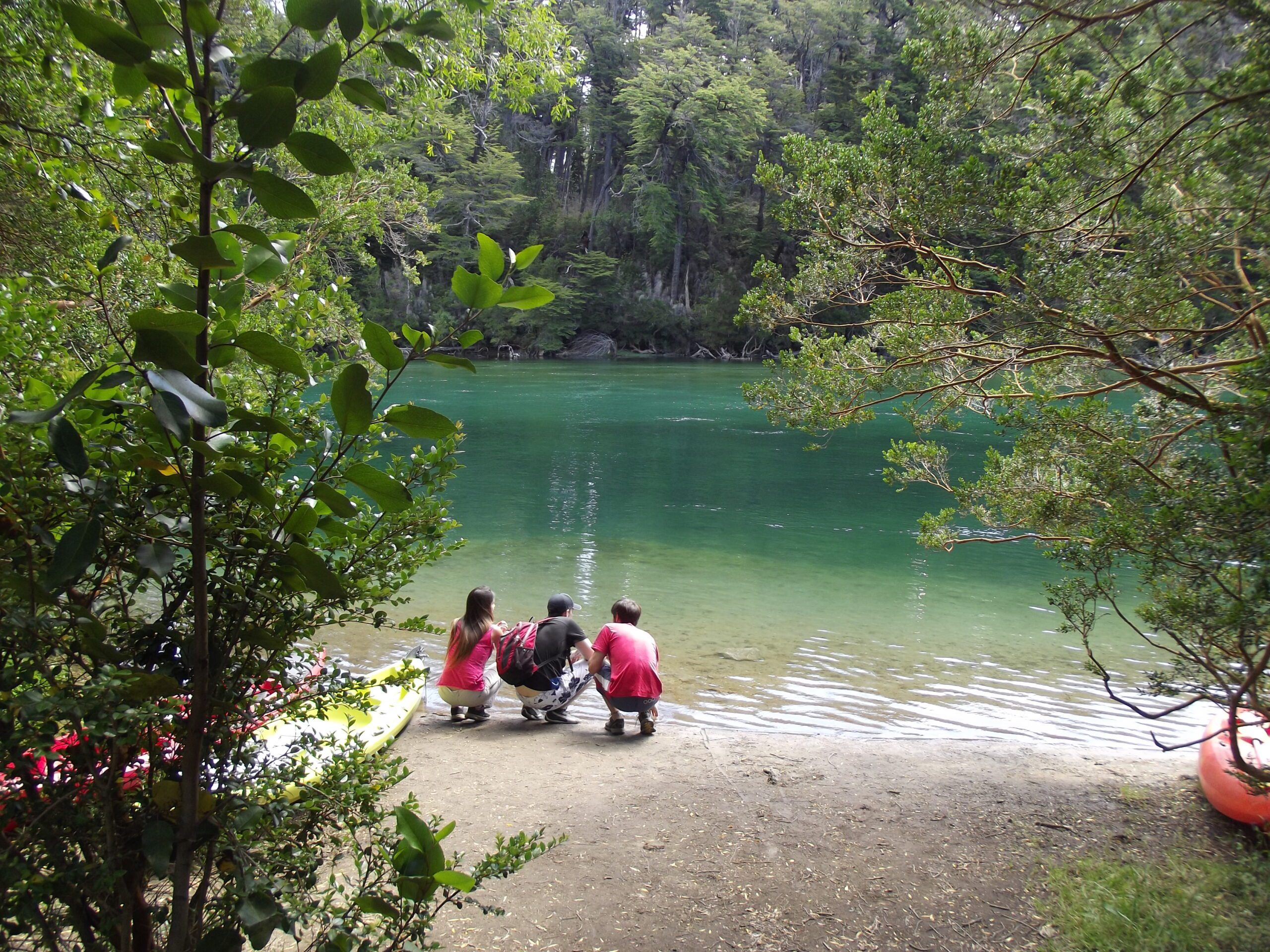 Excursion al Parque Nacional Los Alerces. Full Day - Imagen 16