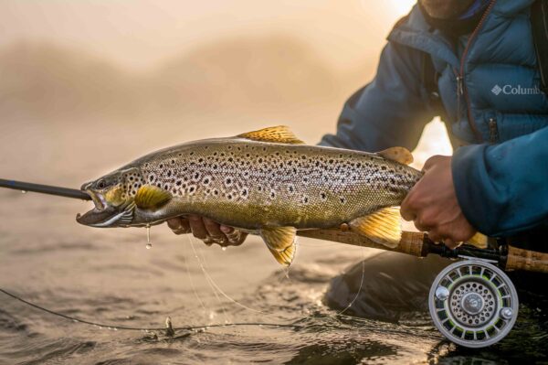 Pesca en Rio Manso y Rio Limay (Bariloche) - Imagen 2
