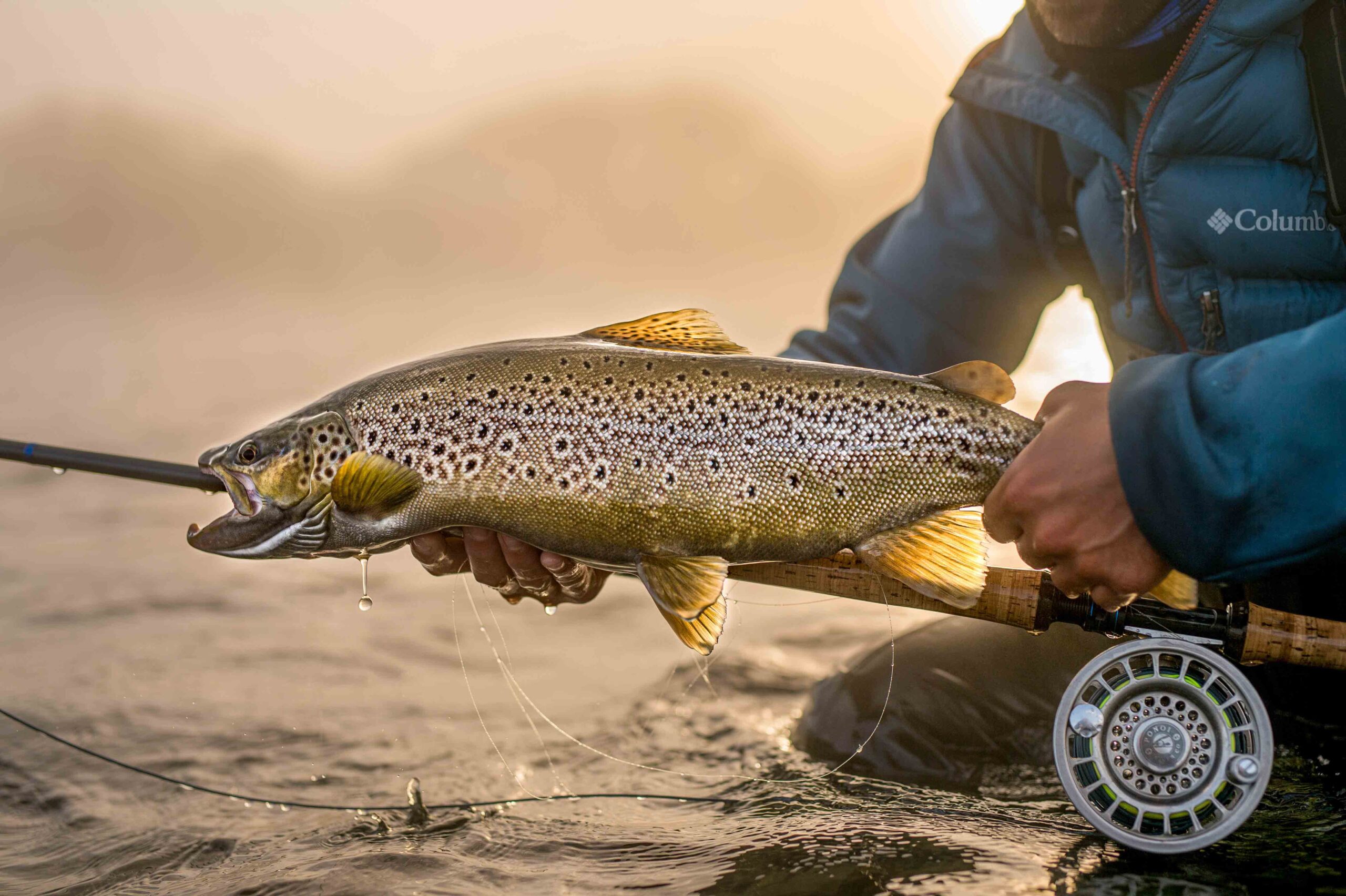 Pesca en Rio Manso y Rio Limay (Bariloche) - Imagen 2