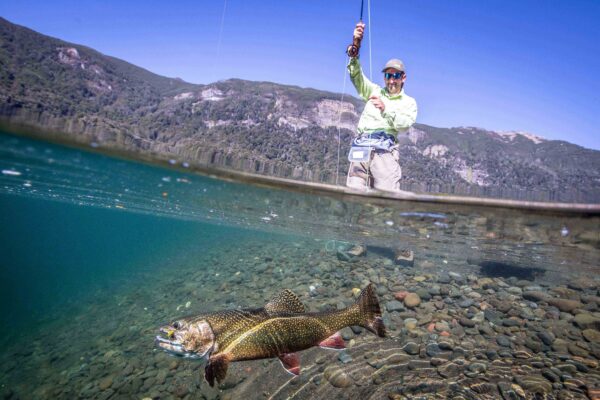 Pesca en Rio Manso y Rio Limay (Bariloche) - Imagen 3