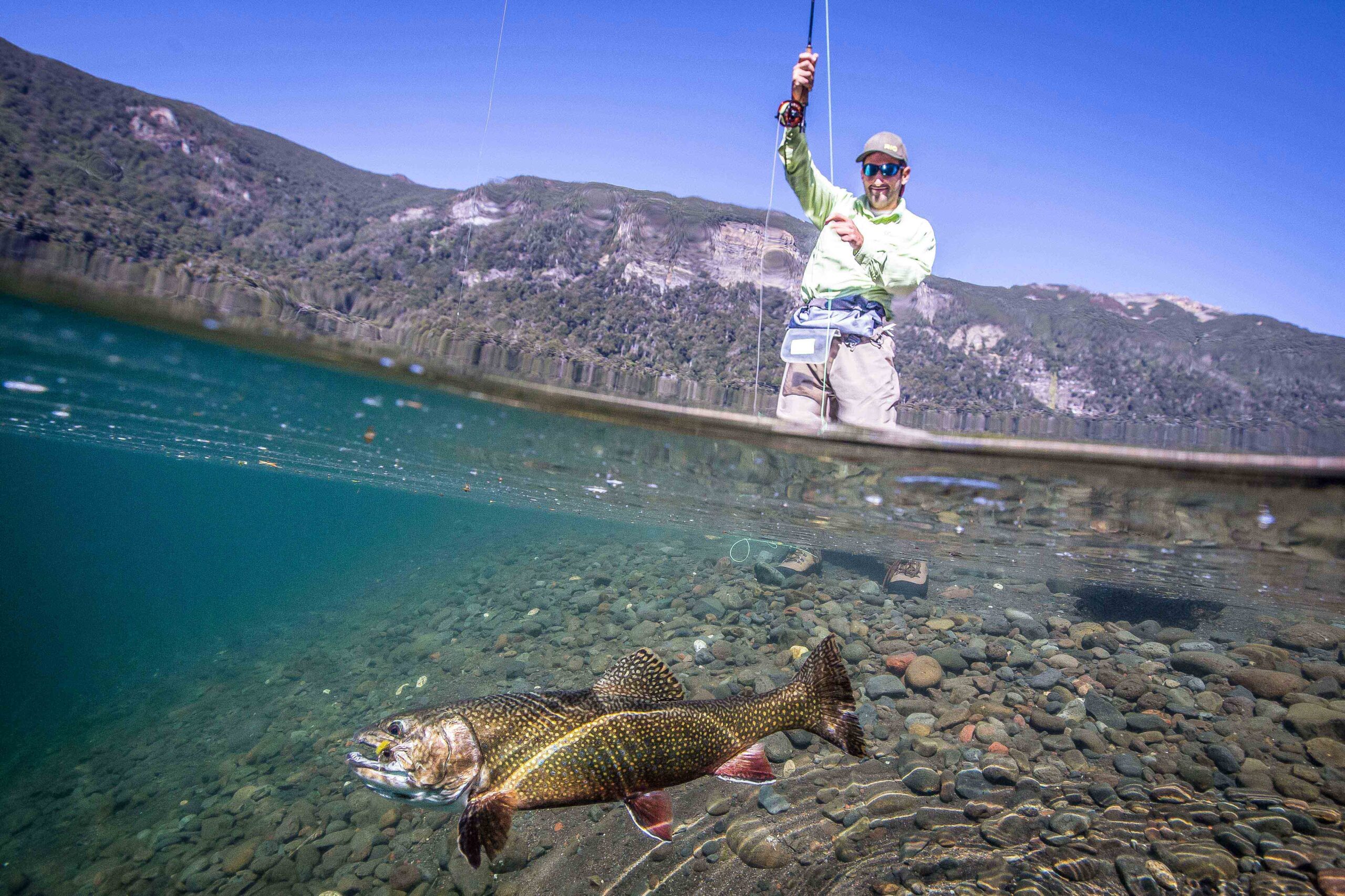 Pesca en Rio Manso y Rio Limay (Bariloche) - Imagen 3