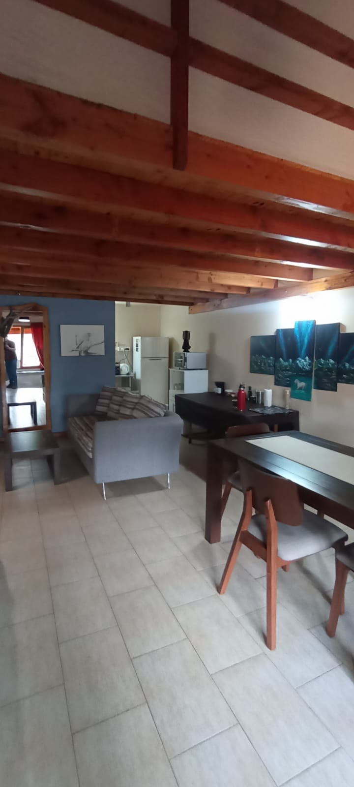 Departamentos en Villa La Angostura - Imagen 11