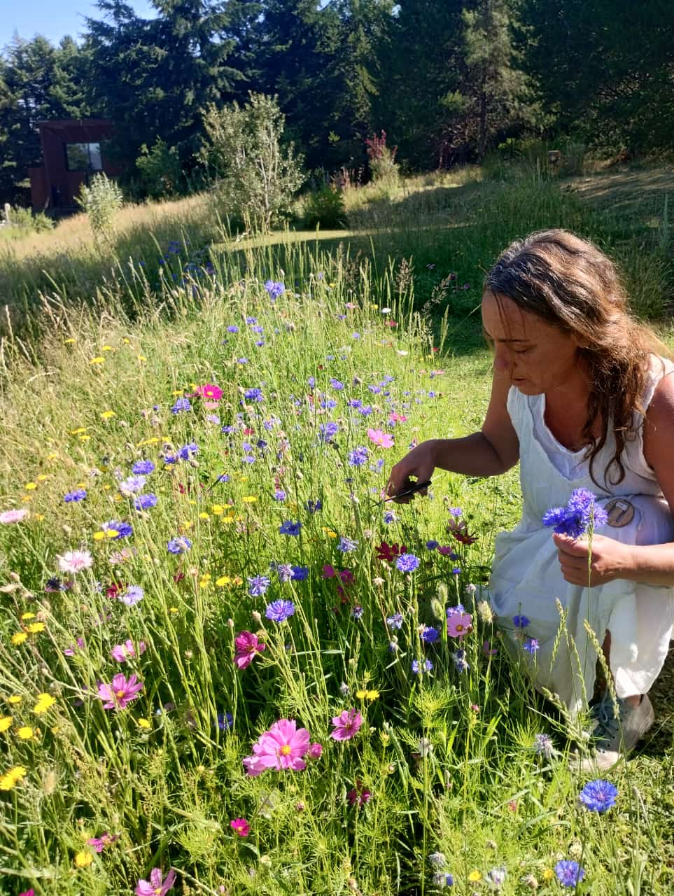 Plantas, Jardinería y Yoga.