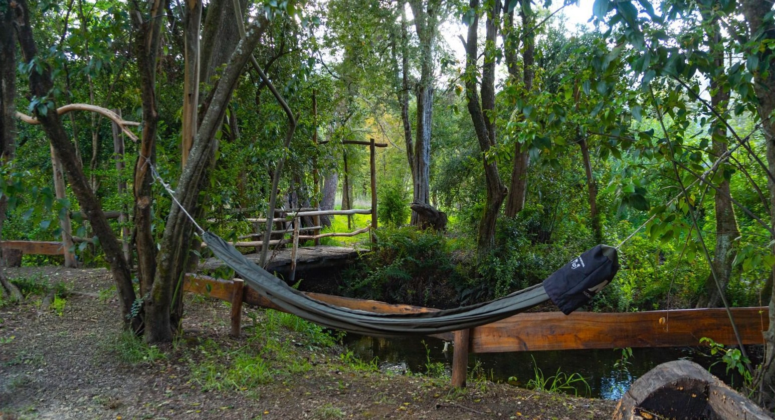 Complejo de cabañas y glamping en Paraje Entre Ríos - Imagen 7