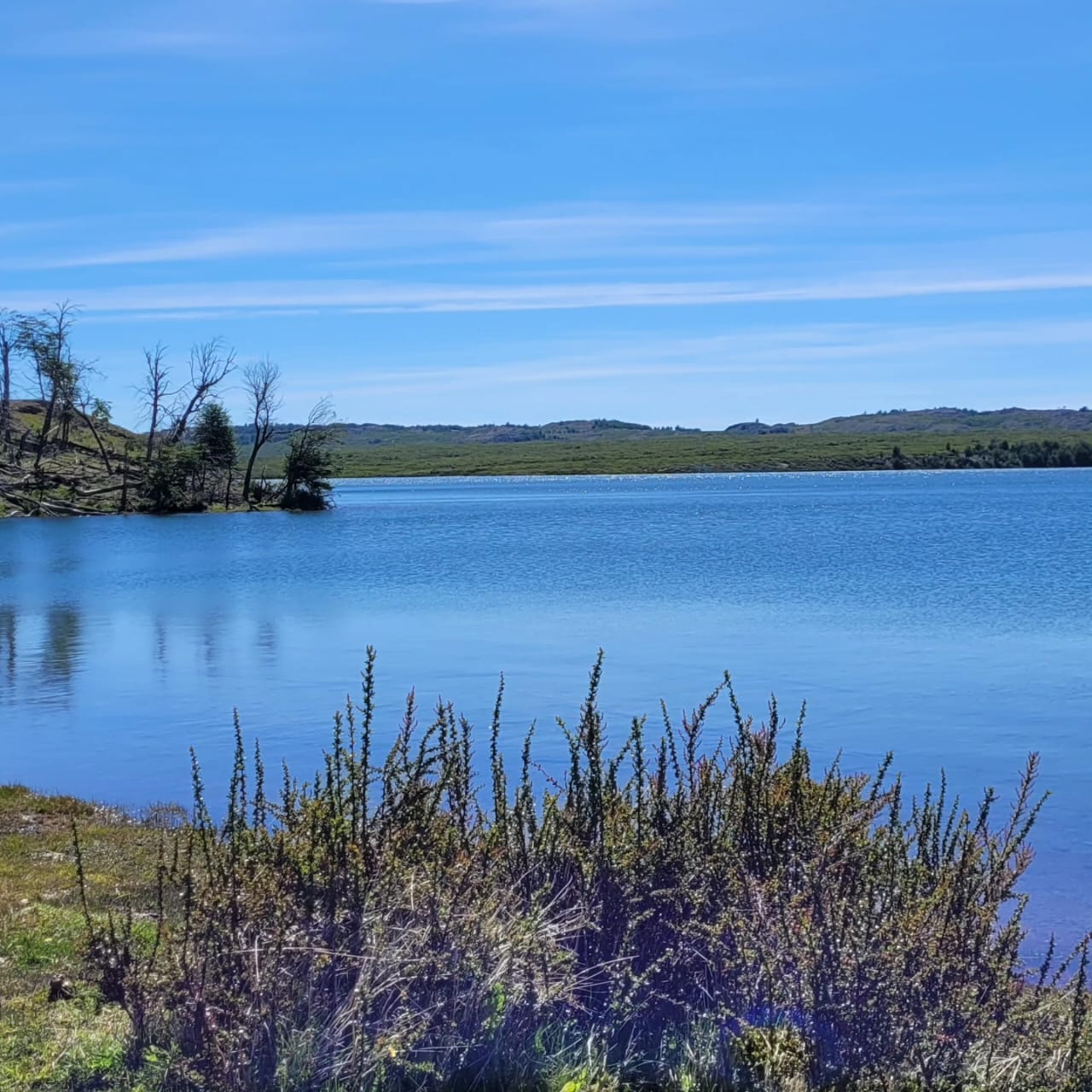 Pesca en Rio Pico (Chubut). - Imagen 3