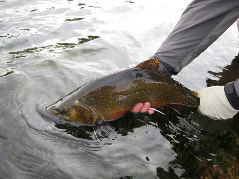 Pesca en Rio Pico (Chubut). - Imagen 11