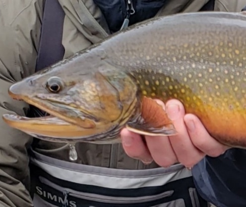 Pesca en Rio Pico (Chubut). - Imagen 12