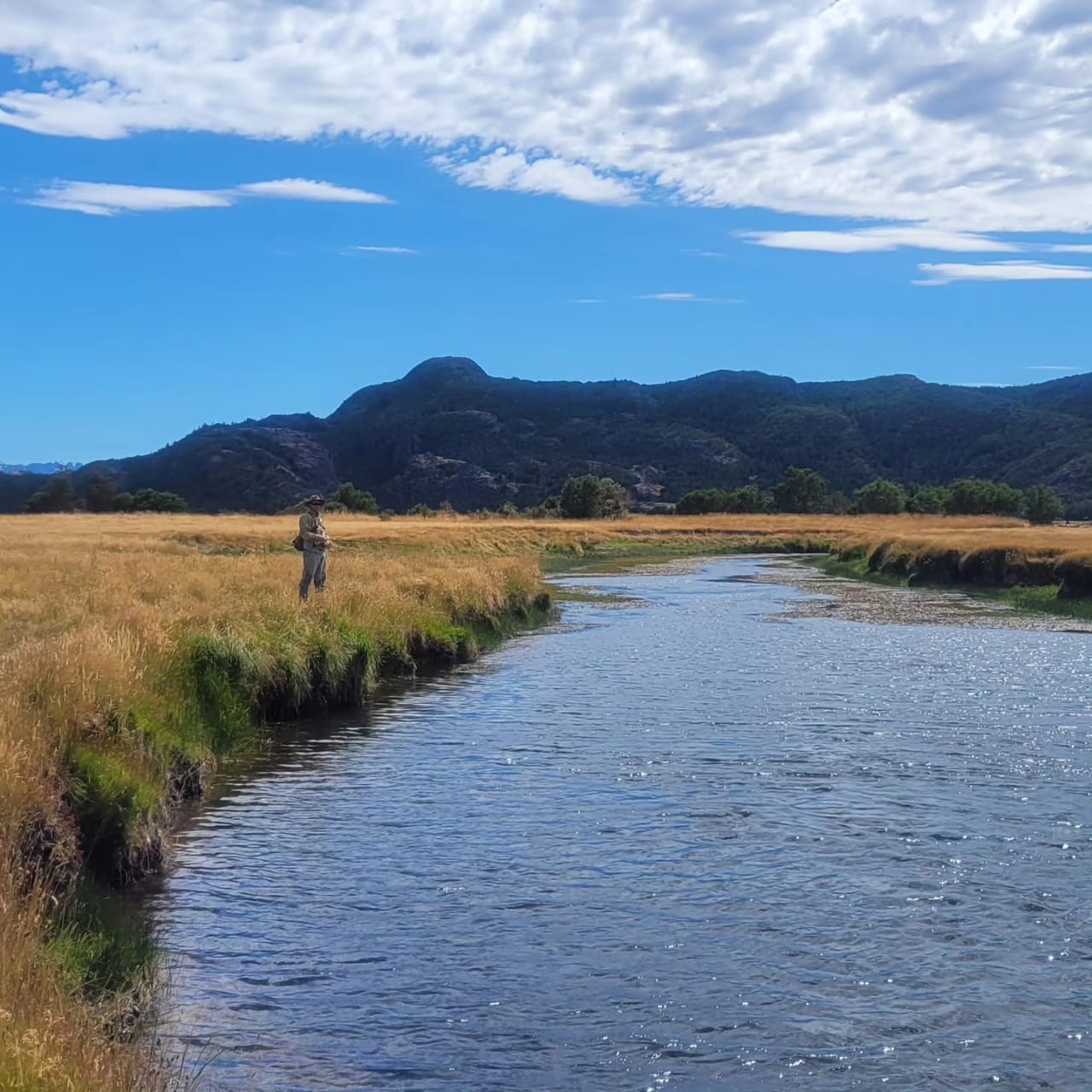 Pesca en Rio Pico (Chubut). - Imagen 24