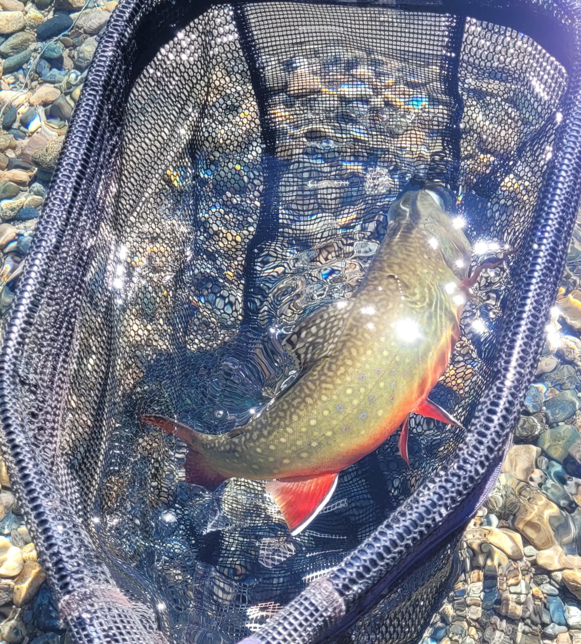 Pesca en Rio Pico (Chubut). - Imagen 2