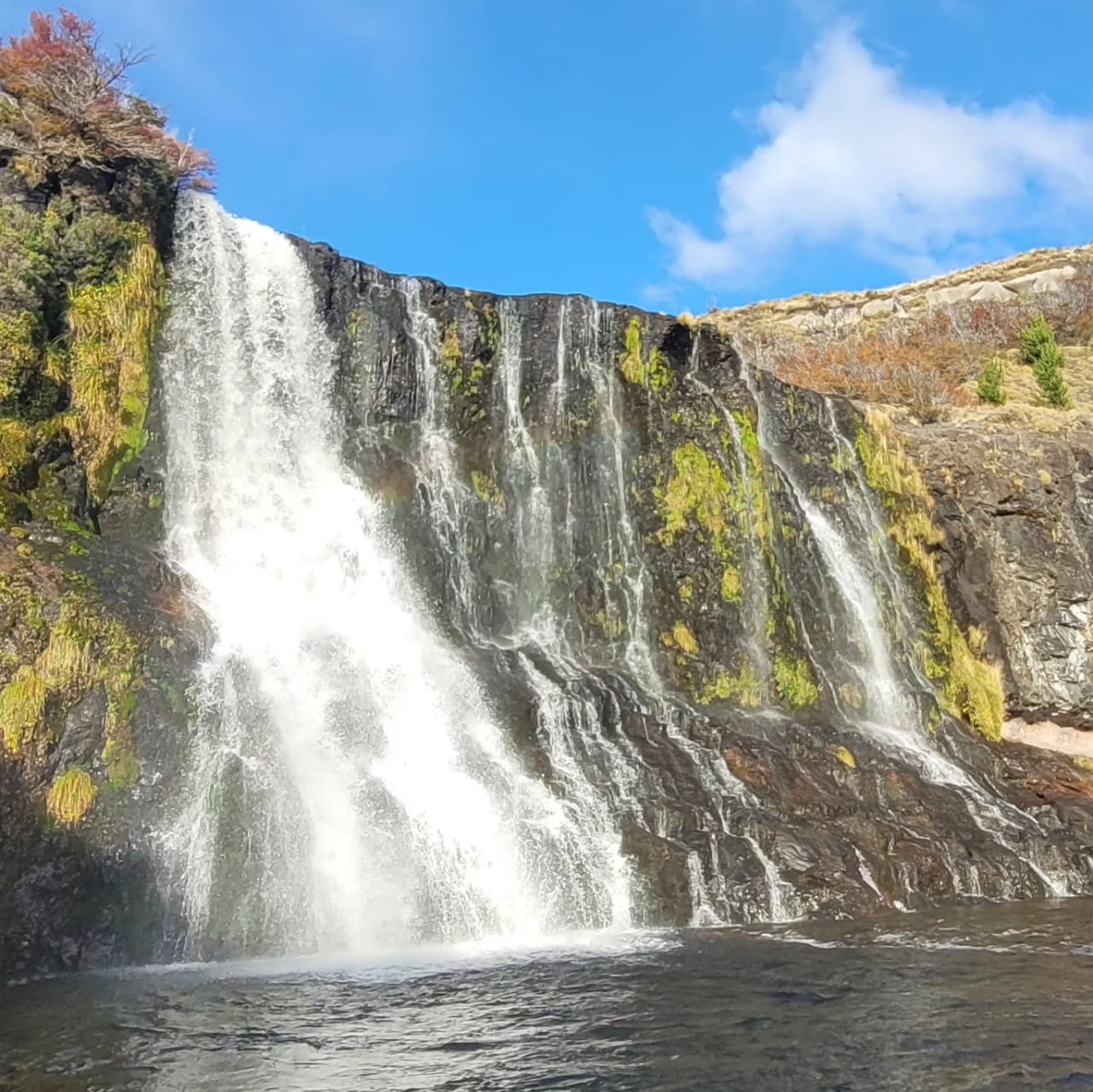 Pesca en Rio Pico (Chubut). - Imagen 28