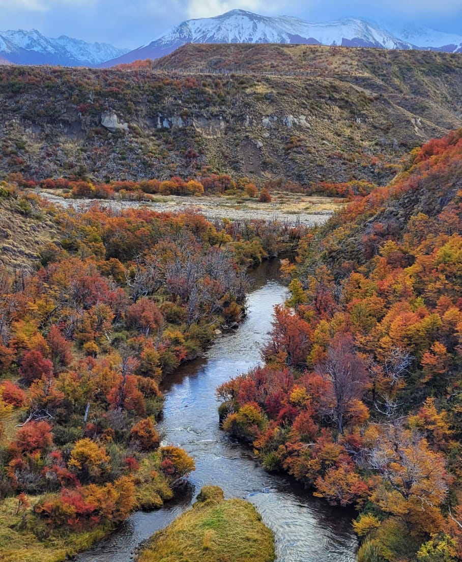 Pesca en Rio Pico (Chubut). - Imagen 31