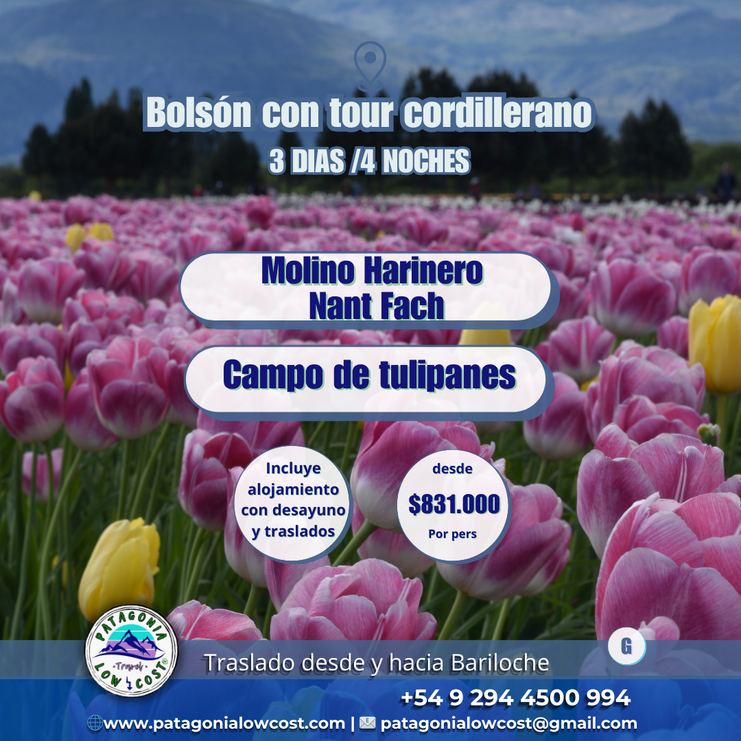 Paquetes al Sur. - Imagen 4