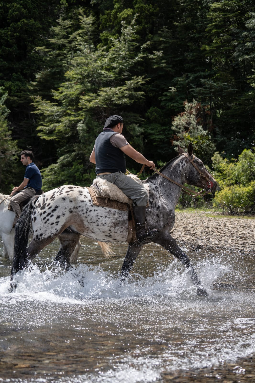 Cabalgatas en KM 15 Av. Bustillo. - Imagen 13