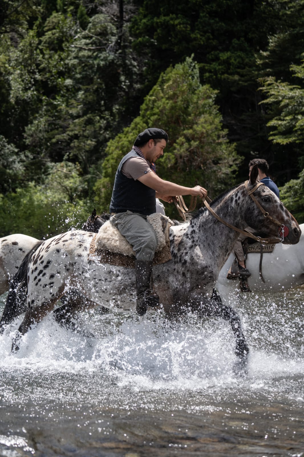Cabalgatas en KM 15 Av. Bustillo. - Imagen 12