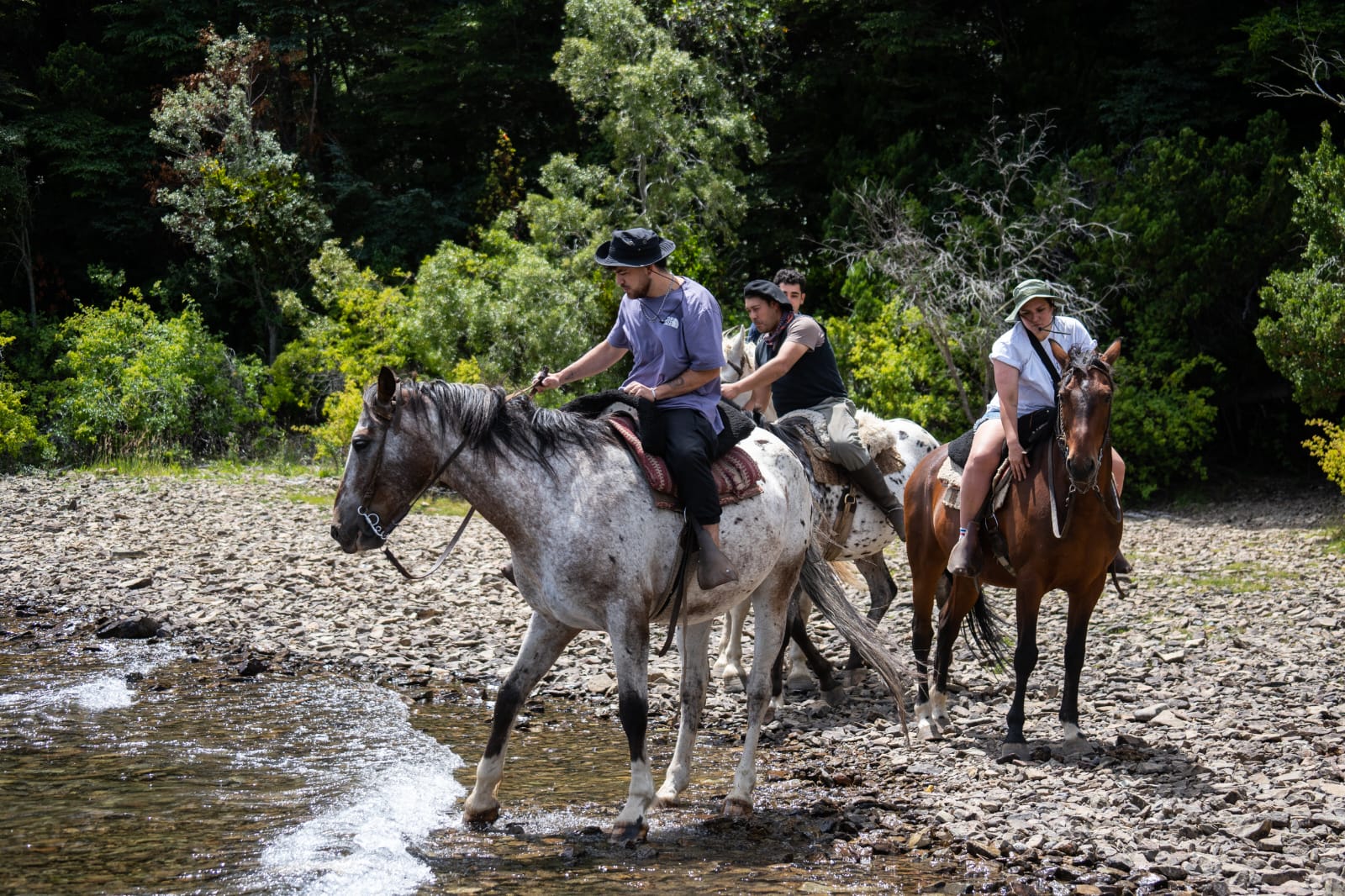 Cabalgatas en KM 15 Av. Bustillo. - Imagen 6