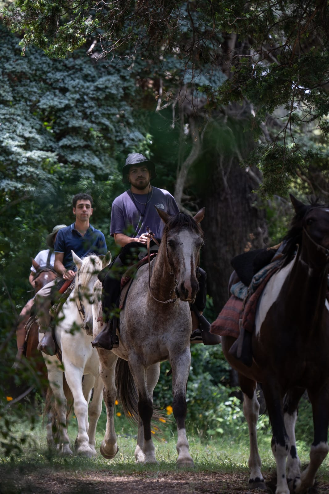 Cabalgatas en KM 15 Av. Bustillo. - Imagen 9
