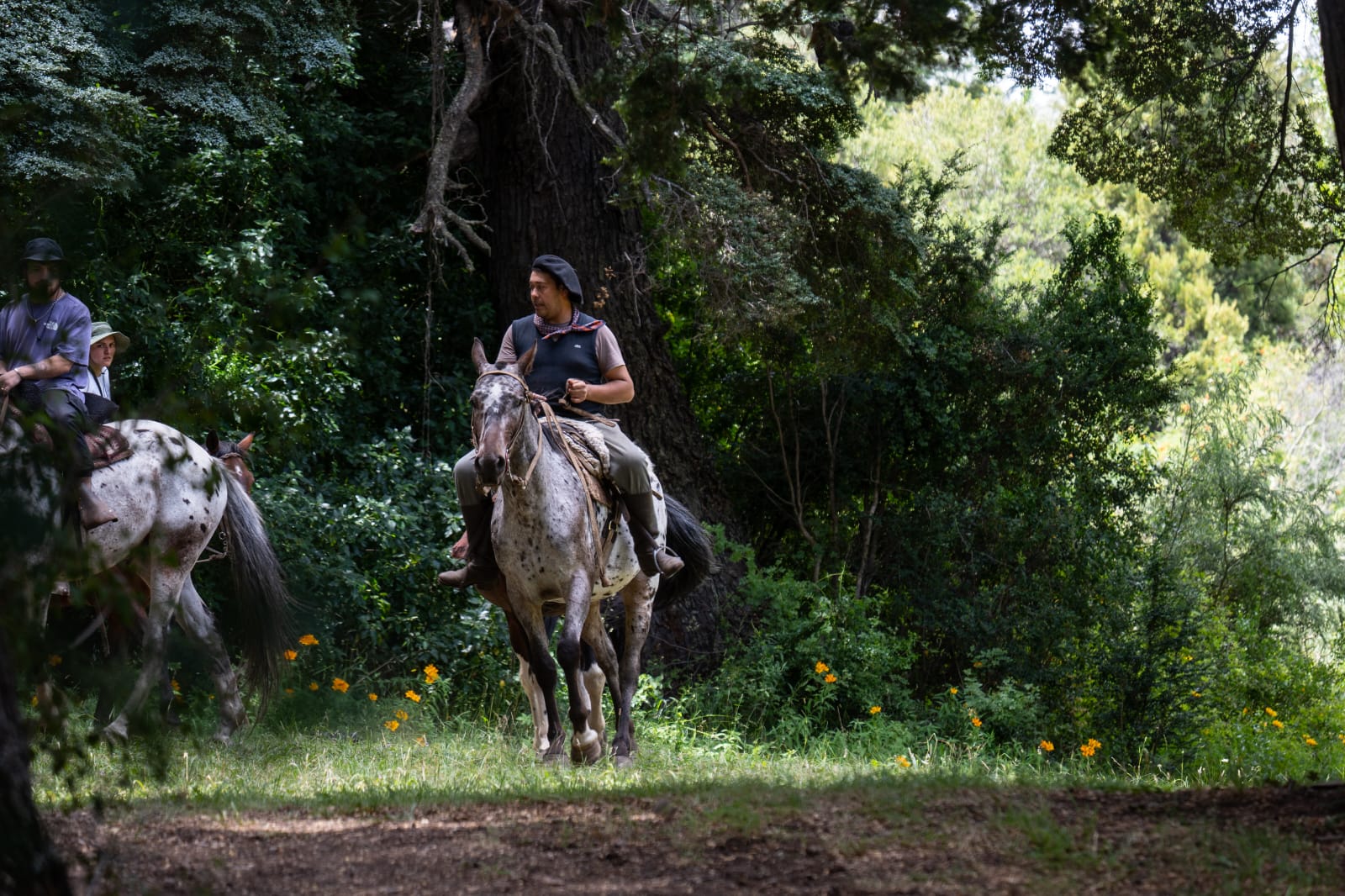 Cabalgatas en KM 15 Av. Bustillo. - Imagen 8