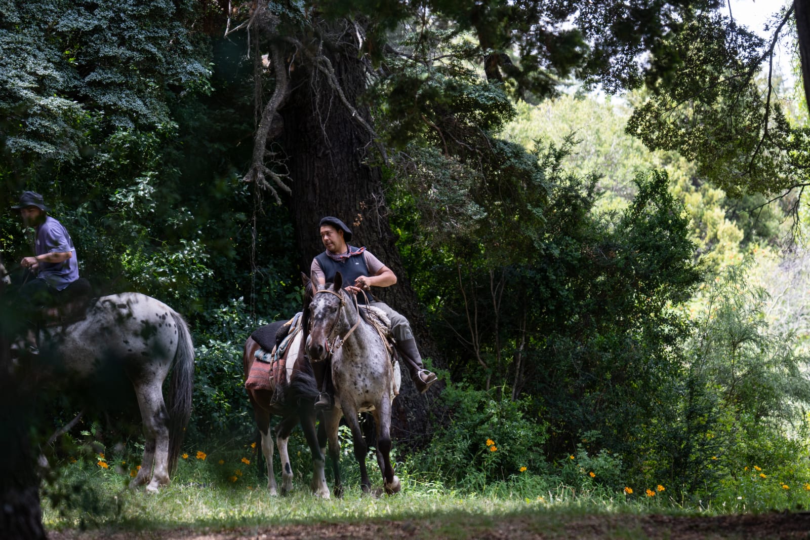 Cabalgatas en KM 15 Av. Bustillo. - Imagen 5