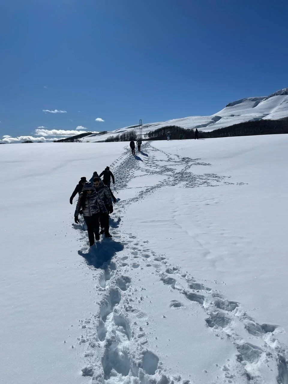 Nieve al Limite. Paso Cardenal Samoré (Chile) a 1.305 (m s. n. m.) - Imagen 3