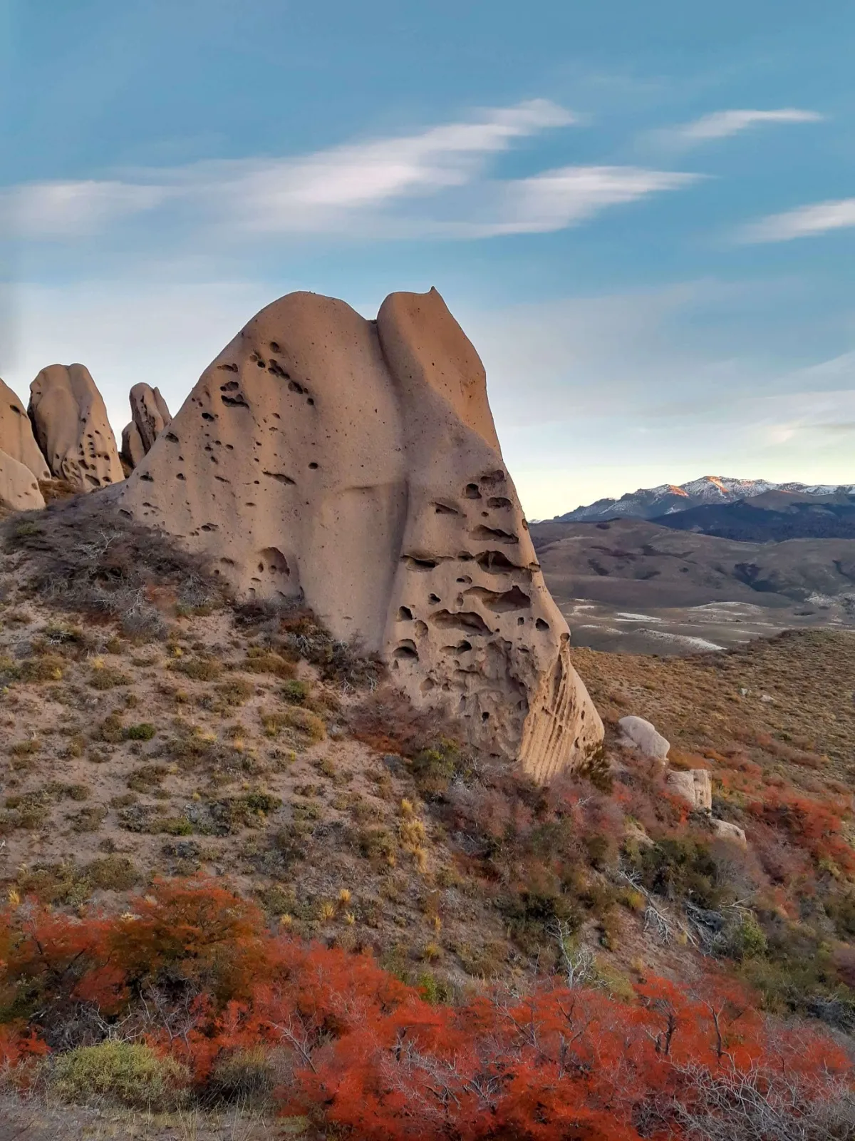Trekking a Las Buitreras. - Imagen 12