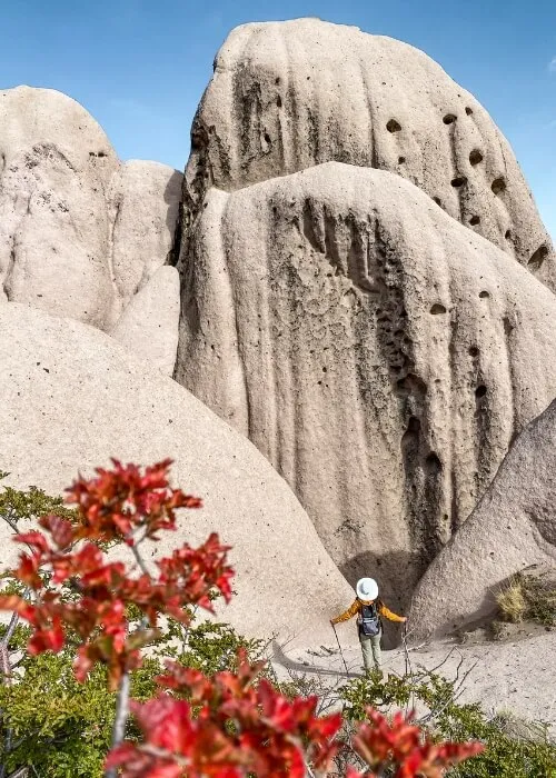 Trekking a Las Buitreras. - Imagen 5