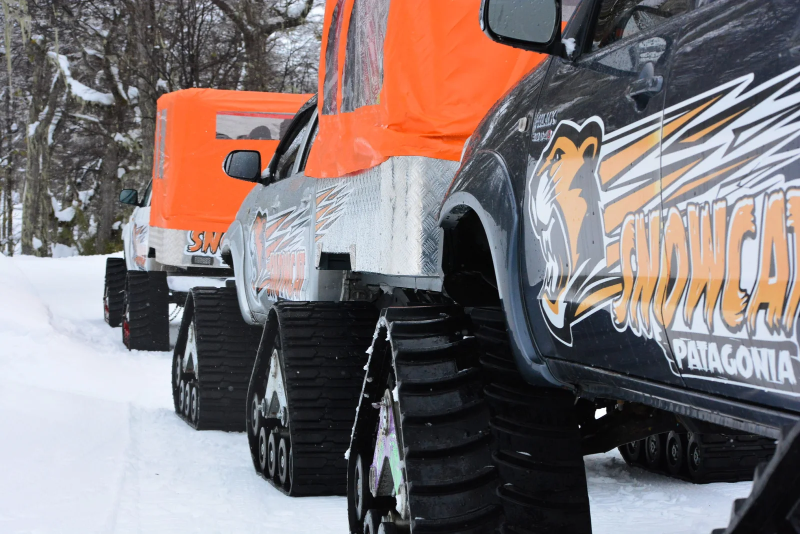 SnowCat (paseo en 4x4 en la nieve). - Imagen 6