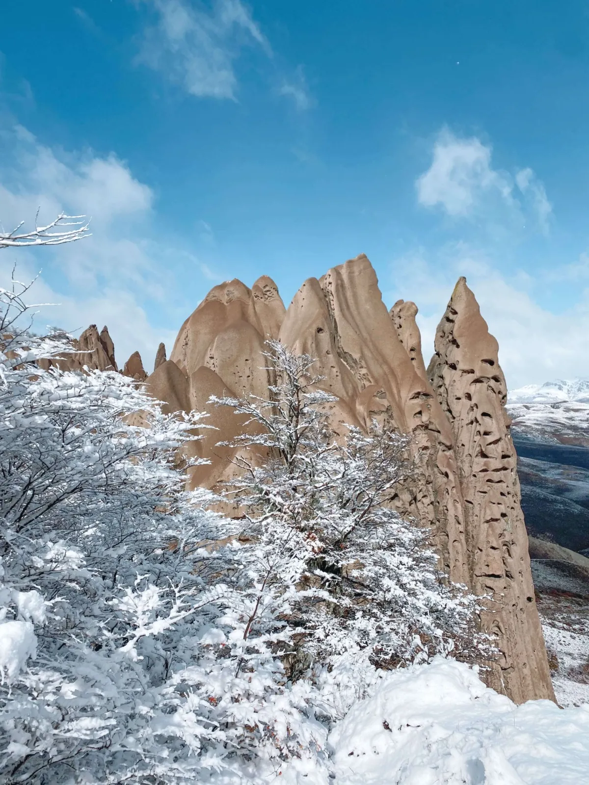 Trekking a Las Buitreras. - Imagen 15