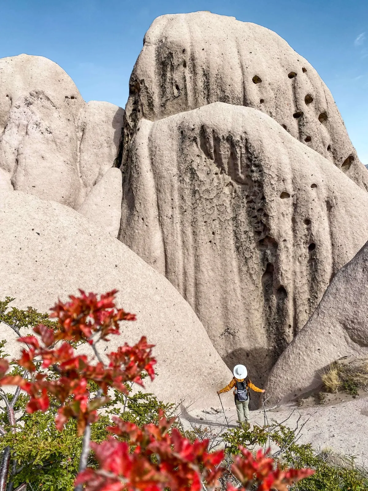 Trekking a Las Buitreras. - Imagen 22