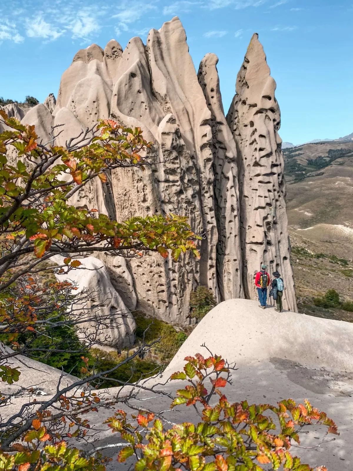 Trekking a Las Buitreras. - Imagen 25