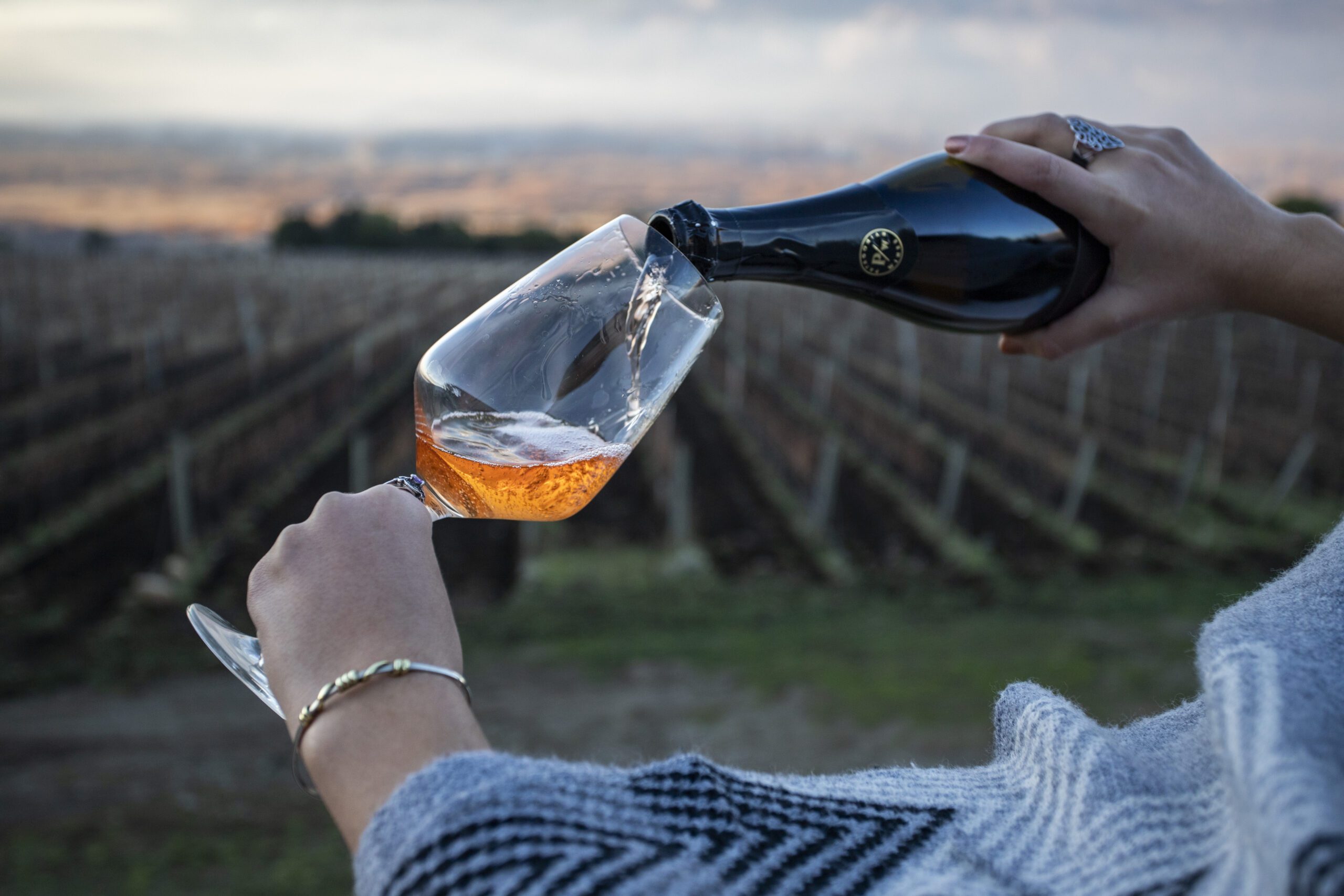 Excursion entre Vinos y Montañas (📍El Hoyo) - Imagen 3