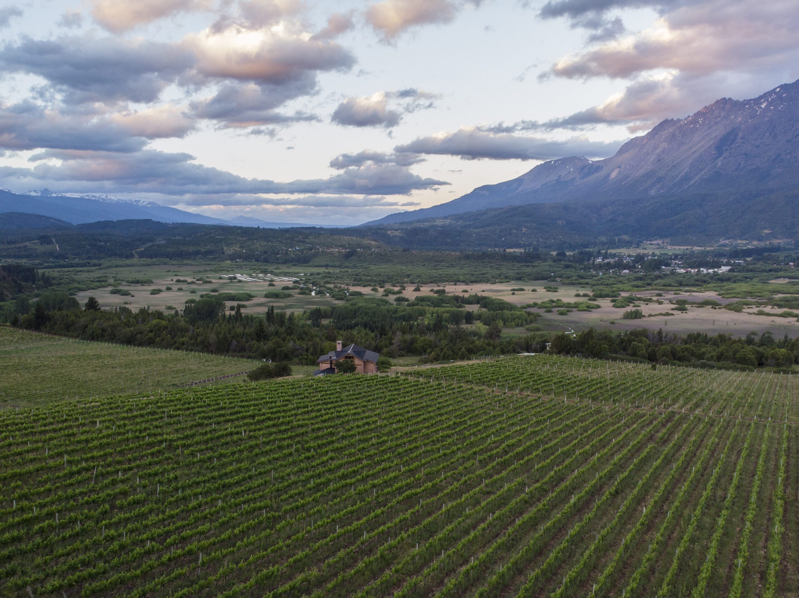 Excursion entre Vinos y Montañas (📍El Hoyo) - Imagen 4