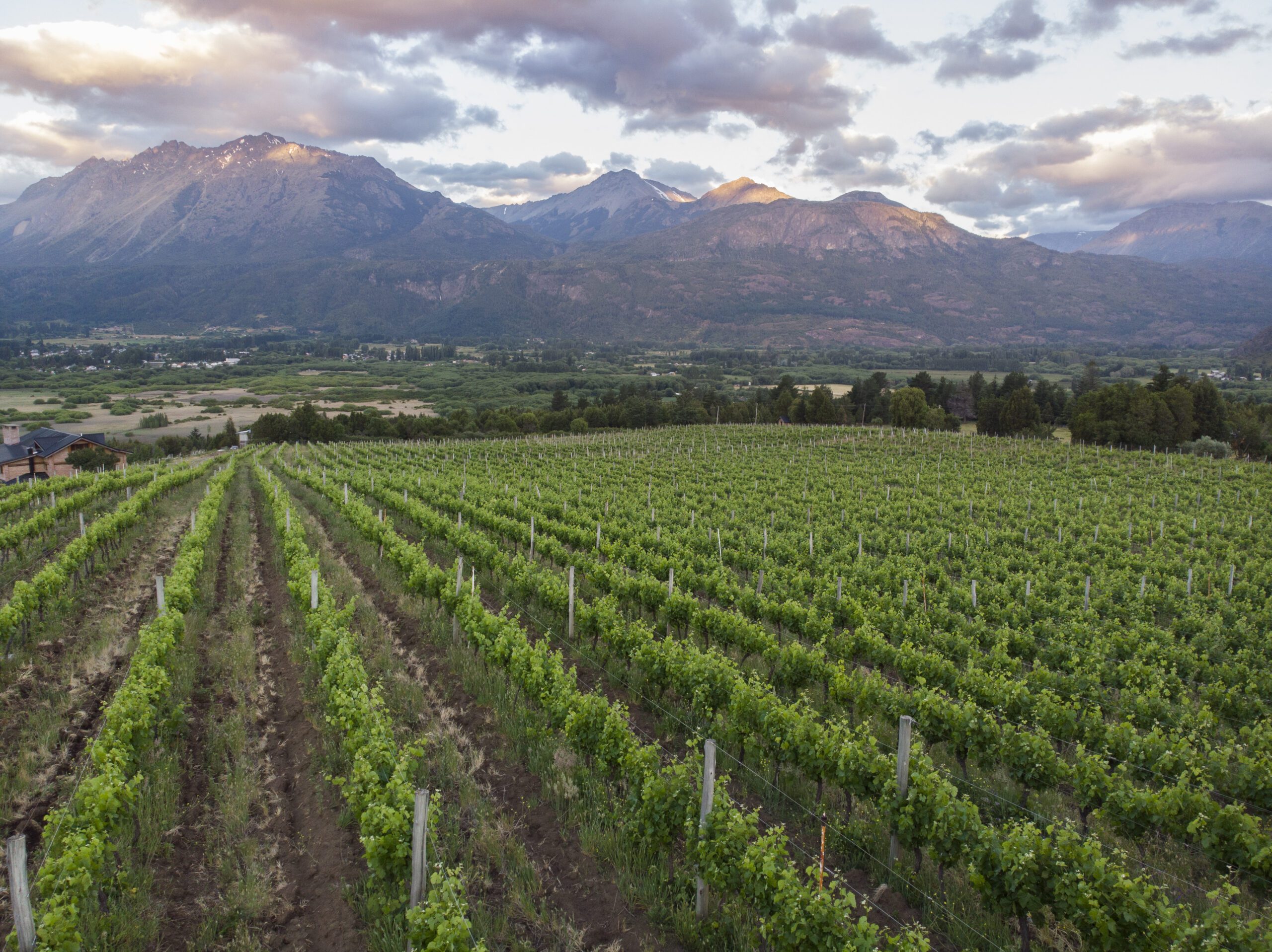 Excursion entre Vinos y Montañas (📍El Hoyo) - Imagen 5