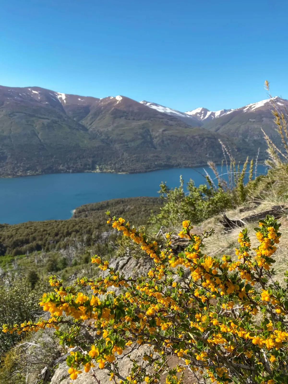 Trekking Refugio Frey. - Imagen 11