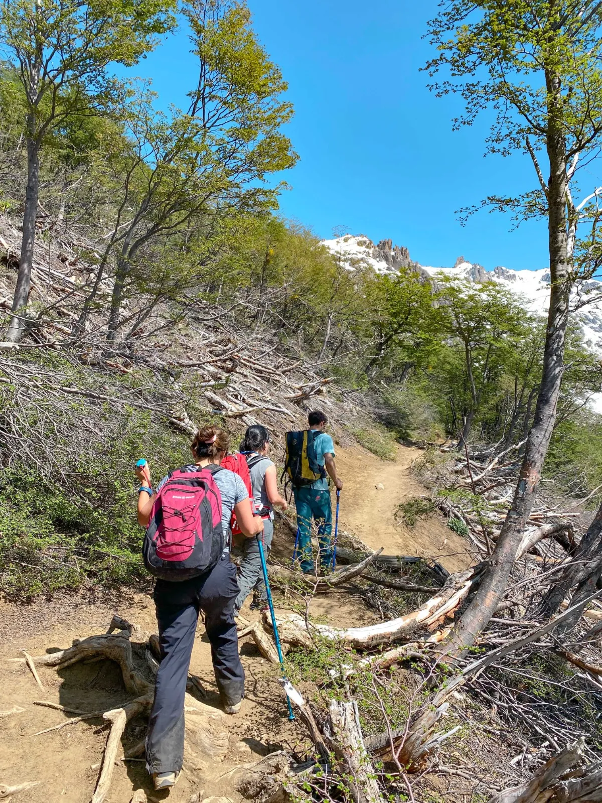 Trekking Refugio Frey. - Imagen 14