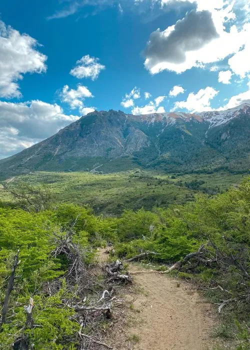 Trekking a Cerro San Martín - Imagen 13