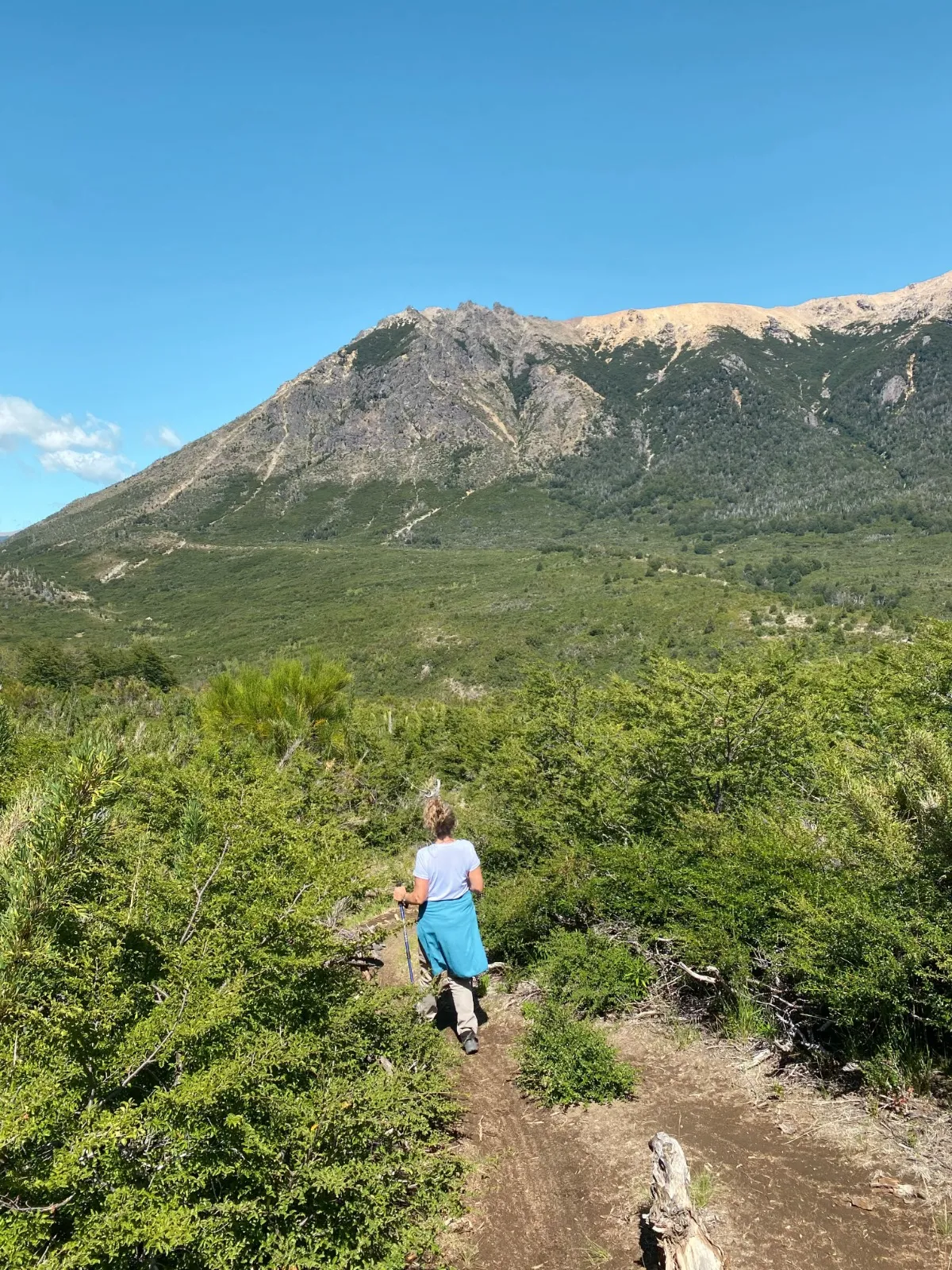 Trekking a Cerro San Martín - Imagen 17